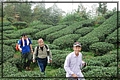2011-12-18 14-35-01往二尖山途中.JPG